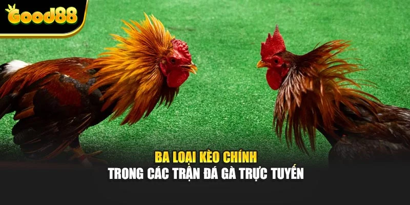 Ba loại kèo chính trong các trận đá gà trực tuyến