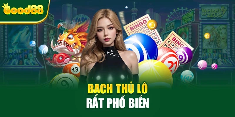 Bạch thủ lô rất phổ biến