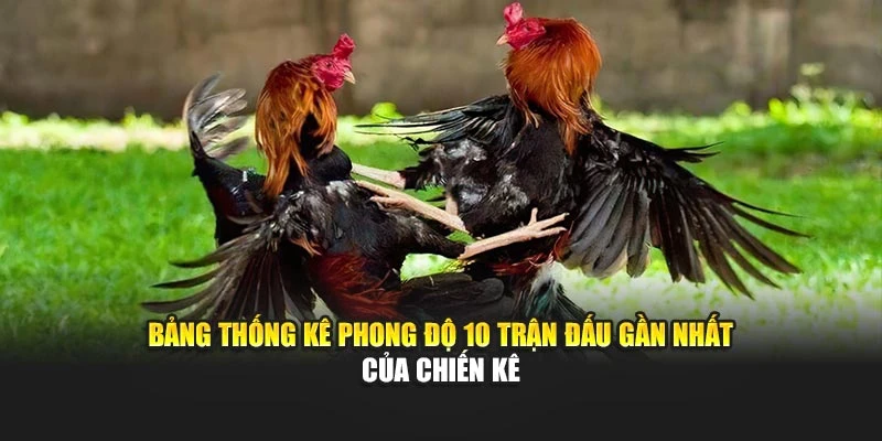 Bảng thống kê phong độ 10 trận đấu gần nhất của chiến kê 
