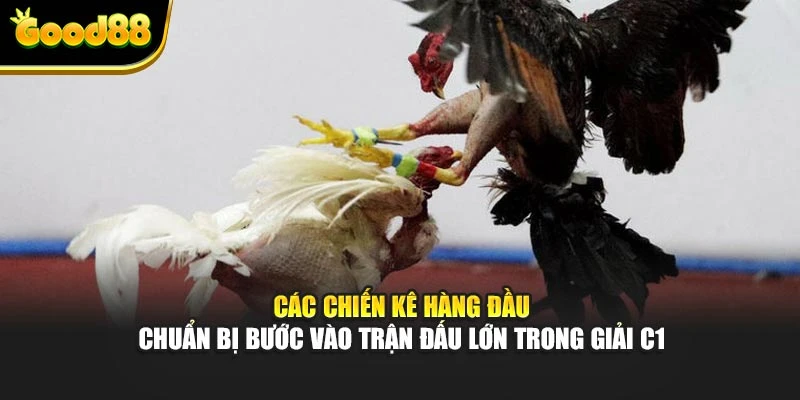 Các chiến kê hàng đầu chuẩn bị bước vào trận đấu lớn trong giải C1