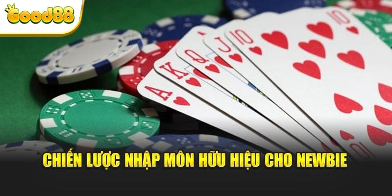 Chiến lược nhập môn hữu hiệu cho newbie