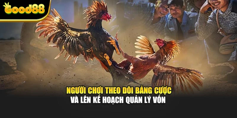 Người chơi theo dõi bảng cược và lên kế hoạch quản lý vốn