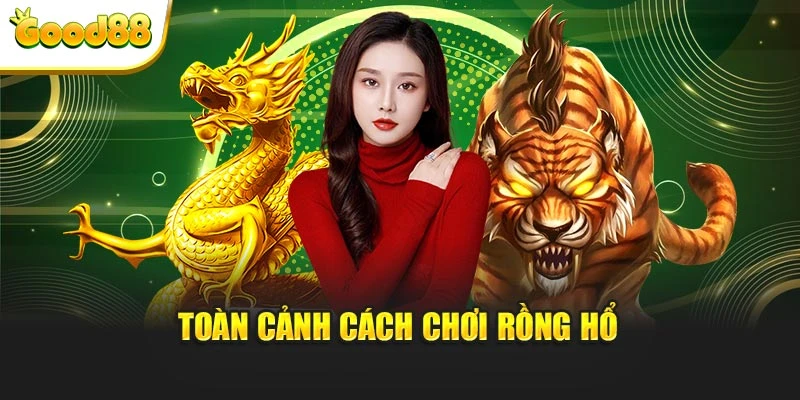 Toàn cảnh cách chơi rồng hổ